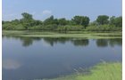 Pond on a farm in Lake County, Indiana - LAND AUCTION - 147+/- ACRES OFFERED IN 3 TRACTS IN LAKE COUNTY, INDIANA